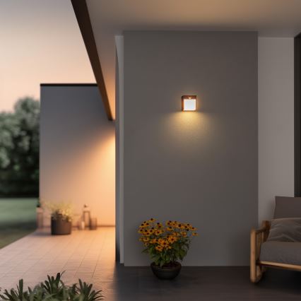Brilagi - LED Lauko sieninis šviestuvas su jutikliu TERNI LED/12W/230V antracitas IP44