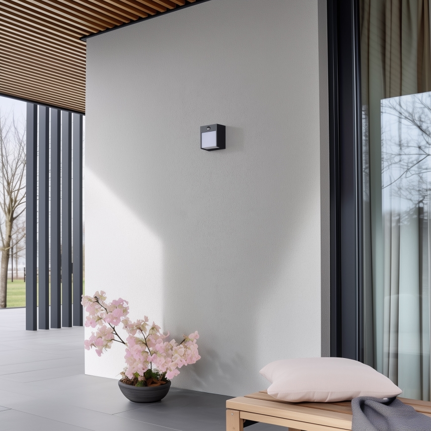 Brilagi - LED Lauko sieninis šviestuvas su jutikliu TERNI LED/12W/230V antracitas IP44