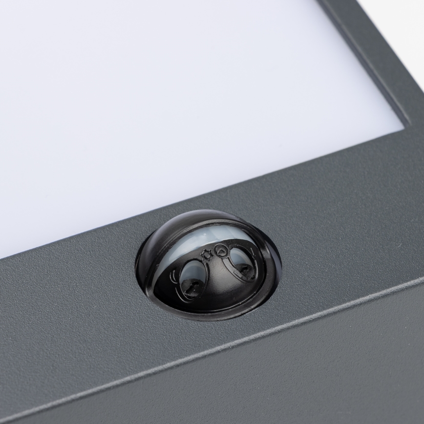 Brilagi - LED Lauko sieninis šviestuvas su jutikliu TERNI LED/12W/230V antracitas IP44