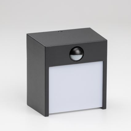 Brilagi - LED Lauko sieninis šviestuvas su jutikliu TERNI LED/12W/230V juodas IP44