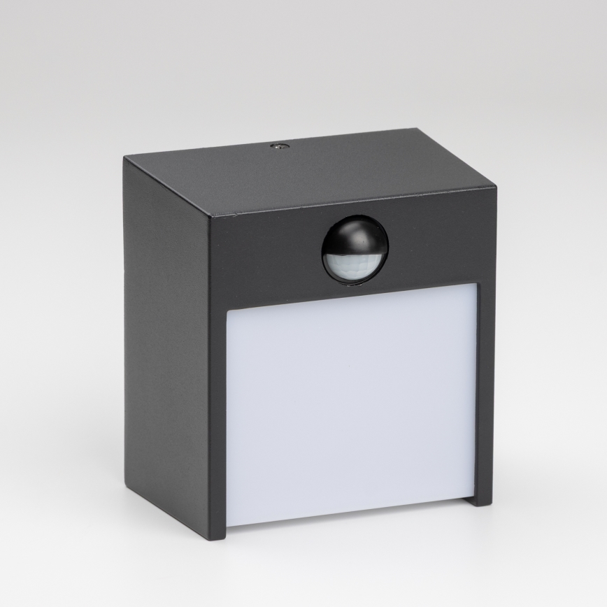 Brilagi - LED Lauko sieninis šviestuvas su jutikliu TERNI LED/12W/230V juodas IP44
