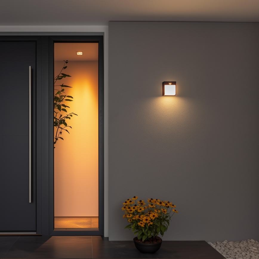 Brilagi - LED Lauko sieninis šviestuvas su jutikliu TERNI LED/12W/230V juodas IP44
