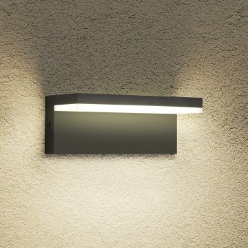 Brilagi - LED lauko sieninis šviestuvas TESSI LED/10W/230V juodas IP54
