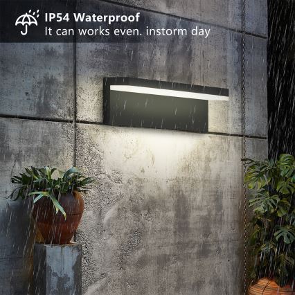 Brilagi - LED lauko sieninis šviestuvas TESSI LED/10W/230V juodas IP54