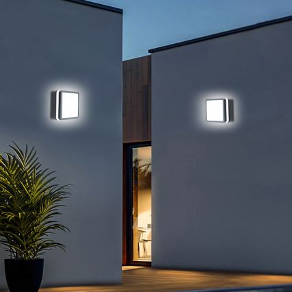 Brilagi - LED lauko šviestuvas BENE LED/18W/230V 22x22 cm antracitas IP54