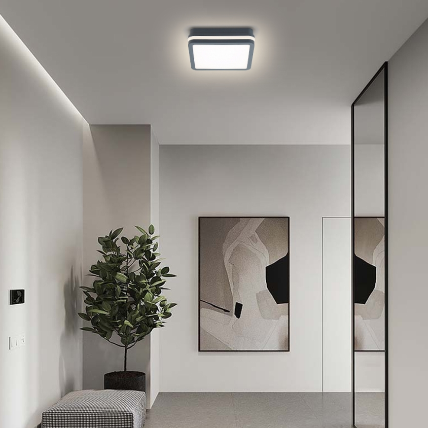 Brilagi - LED lauko šviestuvas BENE LED/18W/230V 22x22 cm antracitas IP54