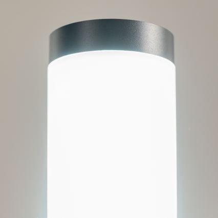BRILAGI - LED lauko šviestuvas ELIA 1xE27/7W/230V 4000K IP44 50 cm antracitas