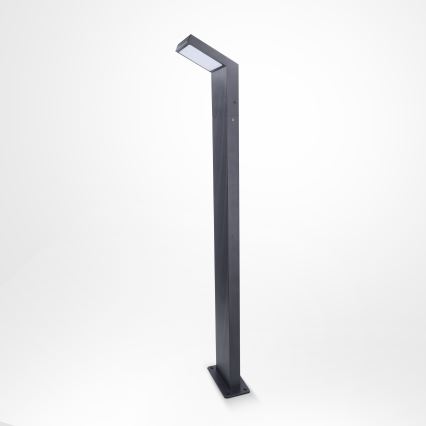 Brilagi - LED lauko šviestuvas RIANO LED/8W/230V antracitas IP65
