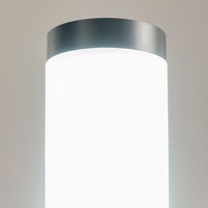 BRILAGI - LED lauko šviestuvas su lizdu ELIA 1xE27/7W/230V 4000K IP44 50 cm antracitas