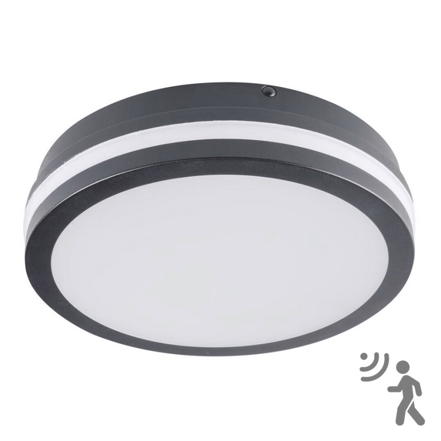 Brilagi - lauko LED šviestuvas su jutikliu BENE LED/18W/230V skersmuo 22 cm antracito spalvos IP54