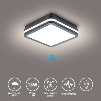 Brilagi - LED lauko šviestuvas su jutikliu BENE LED/18W/230V 22x22 cm antracitas IP54