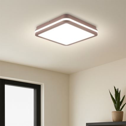Brilagi - LED lauko lubinis šviestuvas su judesio jutikliu BENE LED/24W/230V 26x26 cm rudas IP54