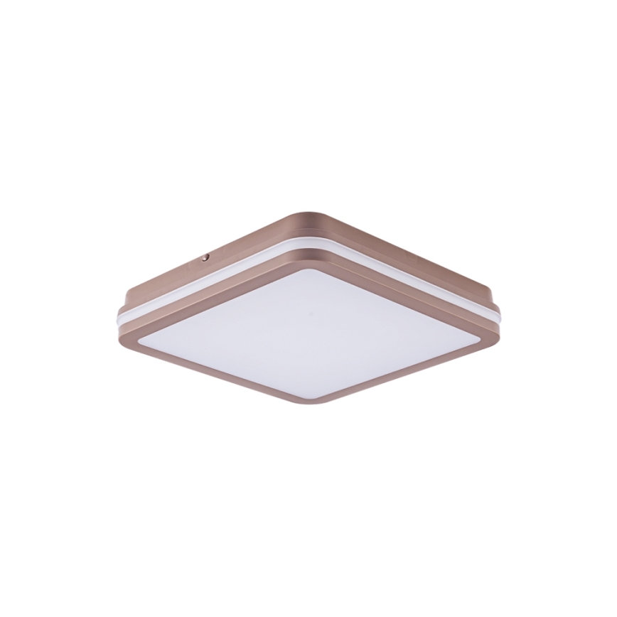 Brilagi - LED lauko lubinis šviestuvas su judesio jutikliu BENE LED/24W/230V 26x26 cm rudas IP54