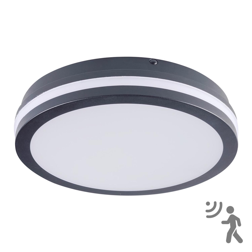 Brilagi - Lauko LED šviestuvas su jutikliu BENE LED/24W/230V skersmuo 26 cm antracitas IP54