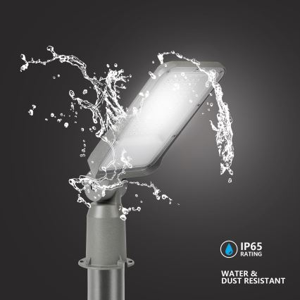 Brilagi - LED lauko gatvės šviestuvas su 3 m stulpu ir reguliuojamu sąnariu URBANLIGHT LED/50W/230V pilkas IP65