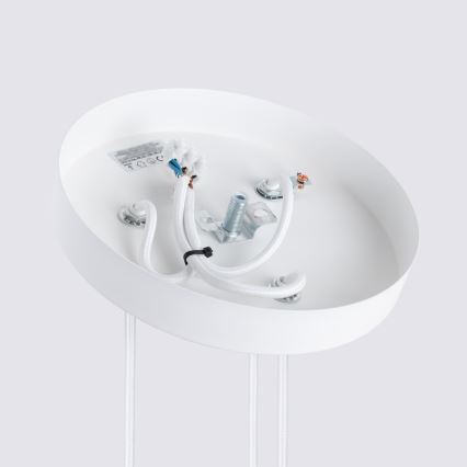 Brilagi - LED liustra ant laido CRESTO 3xGU10/10W/230V balta