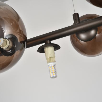 Brilagi - LED liustra ant laido MILLA 10xG9/3W/230V ruda/rūkinė ruda