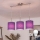 Brilagi - LED liustra ant laido NUBILA 3xE27/60W/230V violetinė
