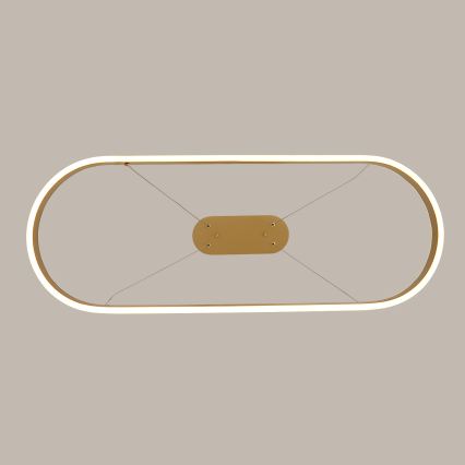 Brilagi - LED liustra ant laido PONDIE LED/44W/230V 80x30 cm auksinė
