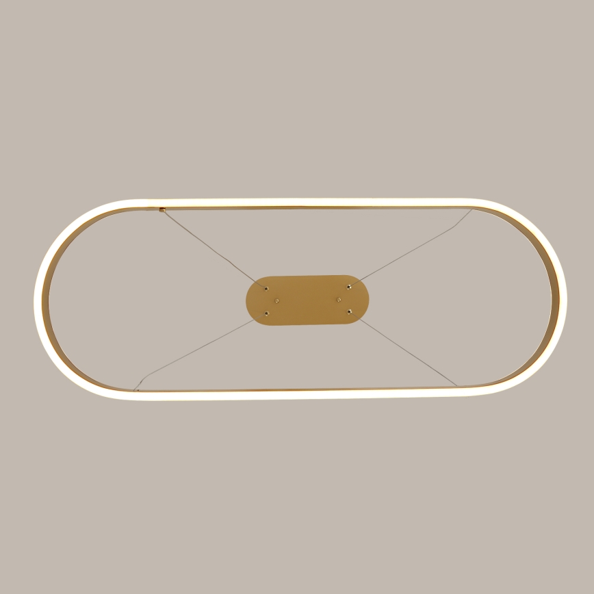 Brilagi - LED liustra ant laido PONDIE LED/44W/230V 80x30 cm auksinė