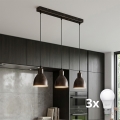 BRILAGI - LED liustra ant laido RIDDY 3xE27/60W/230V varinis/patina