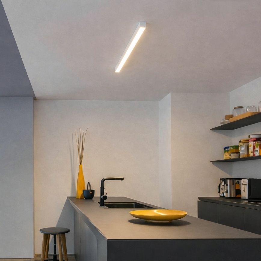 Brilagi - Lubinis paviršinis LED šviestuvas FULLDAY LED/10/15/20W/230V 2700/4000/6000K 60 cm baltas