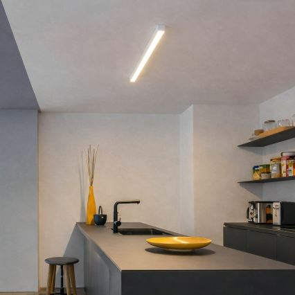 Brilagi - LED lubinis paviršinis šviestuvas FULLDAY LED/10/15/20W/230V 2700/4000/6000K 60 cm baltas