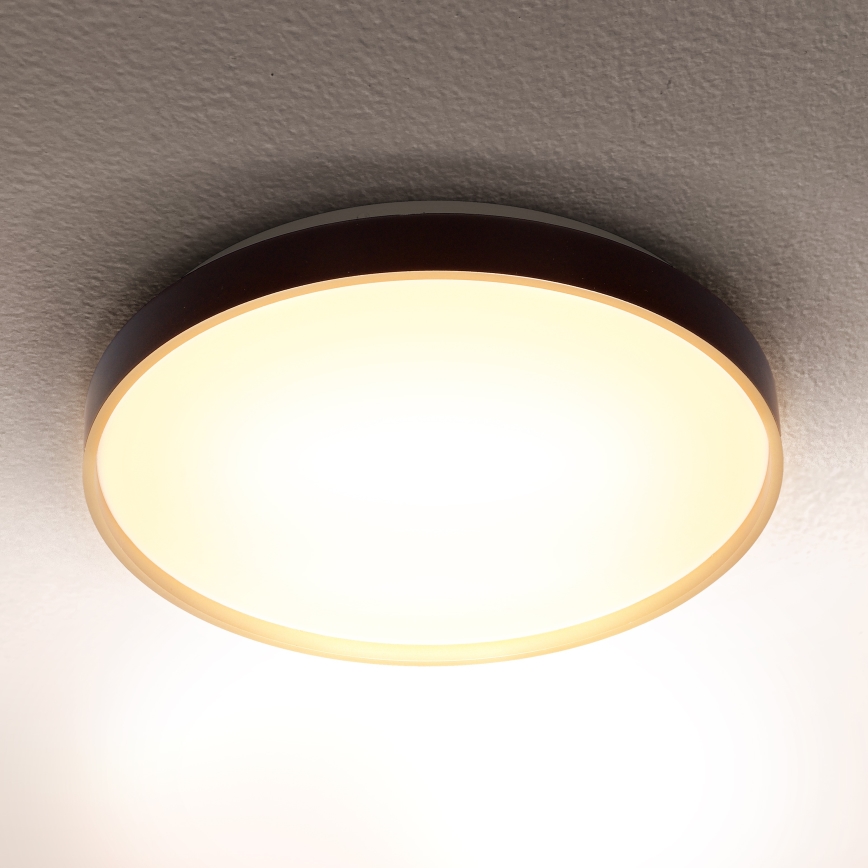 Brilagi - LED lubinis šviestuvas CALA LED/24W/230V
