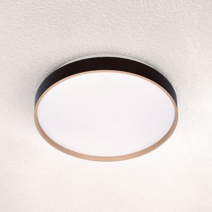 Brilagi - LED lubinis šviestuvas CALA LED/24W/230V