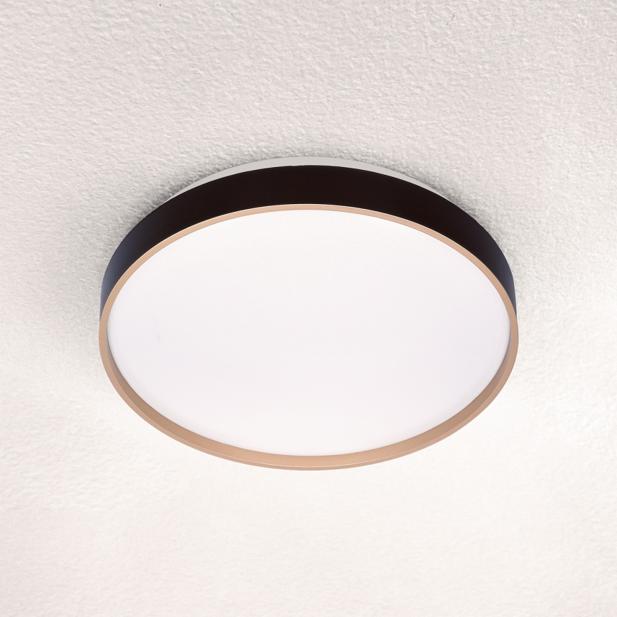 Brilagi - LED lubinis šviestuvas CALA LED/24W/230V