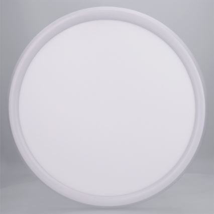 Brilagi - LED lubinis šviestuvas CARLOS LED/24W/230V, skersmuo 40 cm, baltas