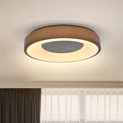 Brilagi - LED lubinis šviestuvas DORIA LED/24W/230V