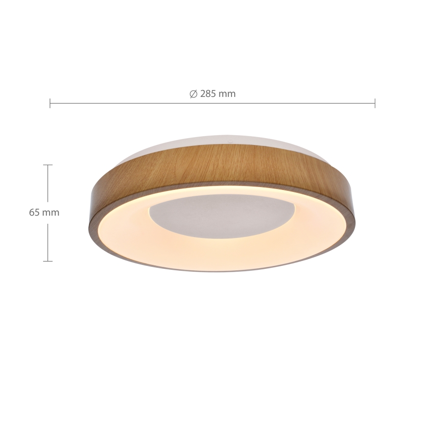 Brilagi - LED lubinis šviestuvas DORIA LED/24W/230V