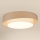 Brilagi - LED lubinis šviestuvas DOVER SHINE LED/26W/230V diametras 60 cm pilka/kreminė