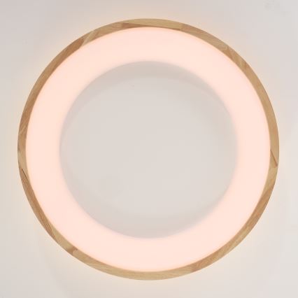 Brilagi - LED lubinis šviestuvas FALCON WOOD LED/40W/230V 3000/4000/6000K skersmuo 60 cm mediena