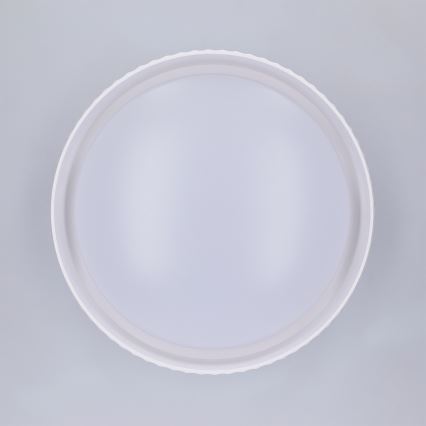 Brilagi - LED lubinis šviestuvas LUCIA LED/24W/230V, skersmuo 31 cm, baltas