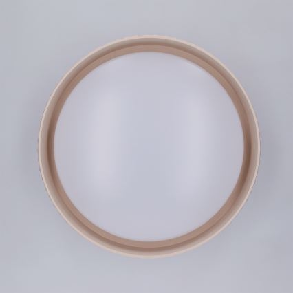 Brilagi - LED lubinis šviestuvas LUCIA LED/24W/230V, skersmuo 31 cm, smėlinė