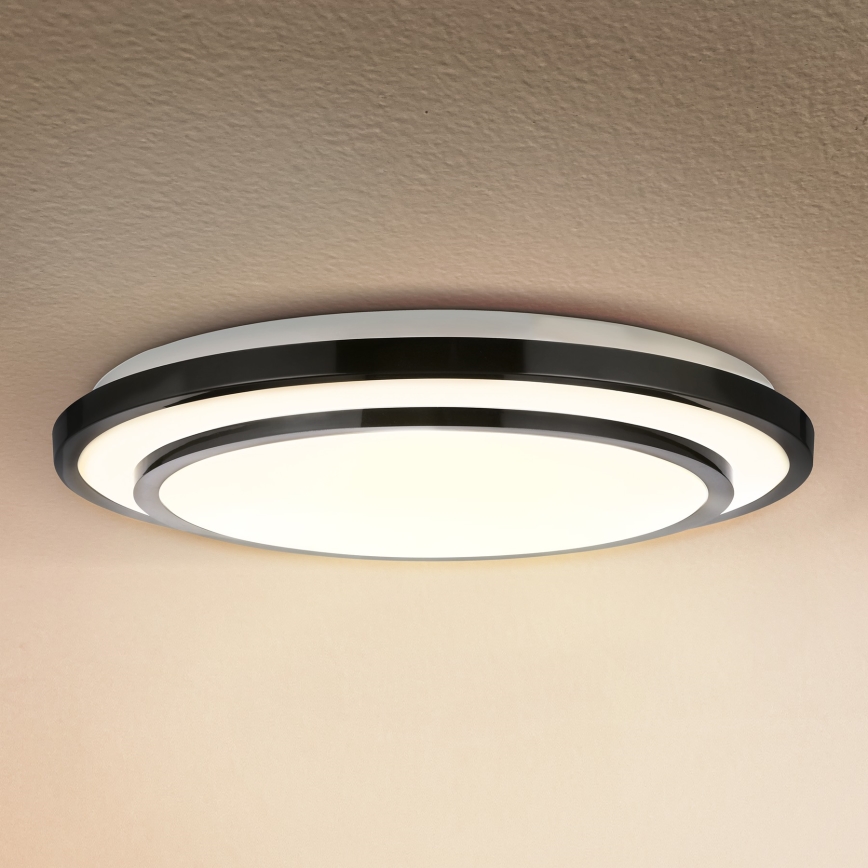 Brilagi - LED lubinis šviestuvas LUCIANO LED/24W/230V