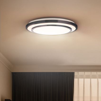 Brilagi - LED lubinis šviestuvas LUCIANO LED/24W/230V