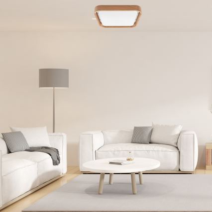 Brilagi - LED reguliuojamas lubų šviestuvas MANAROLA CUBIC LED/24W/230V 3000-6500K ąžuolas + nuotolinio valdymo pultas