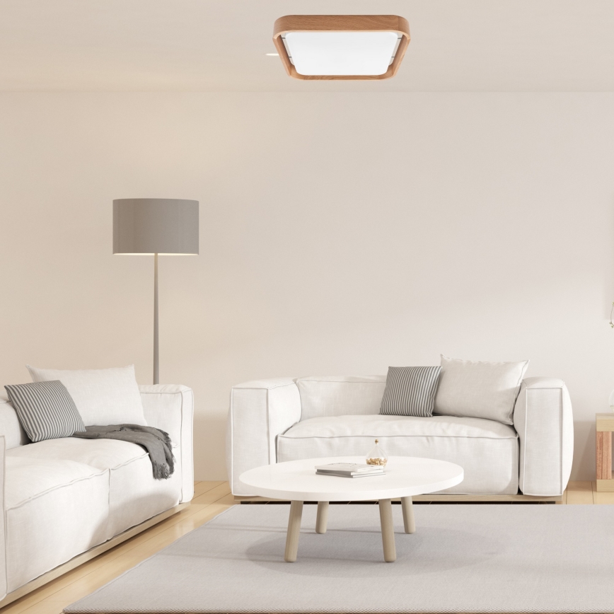 Brilagi - LED reguliuojamas lubų šviestuvas MANAROLA CUBIC LED/24W/230V 3000-6500K ąžuolas + nuotolinio valdymo pultas