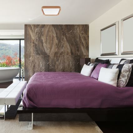 Brilagi - LED reguliuojamas lubų šviestuvas MANAROLA CUBIC LED/24W/230V 3000-6500K ąžuolas + nuotolinio valdymo pultas