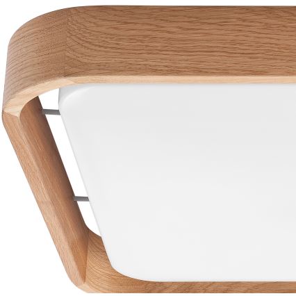 Brilagi - LED reguliuojamas lubų šviestuvas MANAROLA CUBIC LED/24W/230V 3000-6500K ąžuolas + nuotolinio valdymo pultas