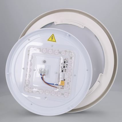 Brilagi - LED lubinis šviestuvas MATTEO LED/24W/230V Ø 31 cm žalias
