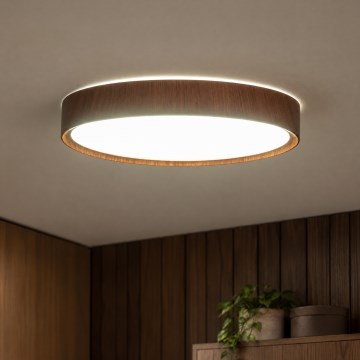 BRILAGI - LED lubinis šviestuvas NATURA LED/20W/230V 4000K skersm. 33,7 cm