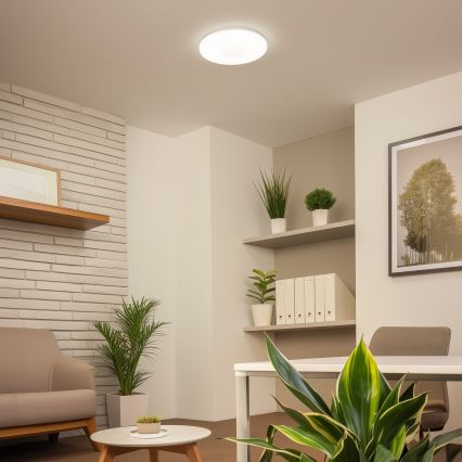 Brilagi - LED Lubinis šviestuvas OPAL LED/24W/230V