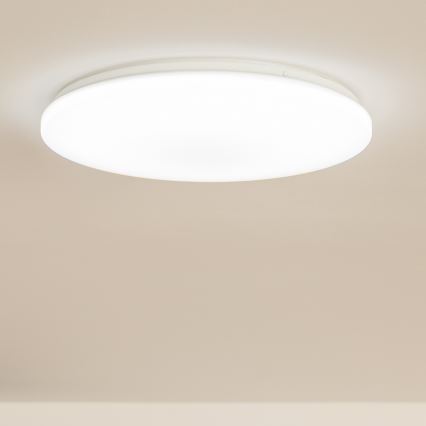 Brilagi - LED Lubinis šviestuvas OPAL LED/24W/230V