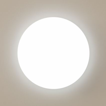 Brilagi - LED Lubinis šviestuvas OPAL LED/24W/230V