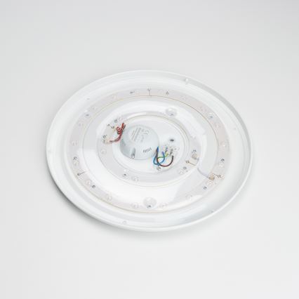 Brilagi - LED Lubinis šviestuvas OPAL LED/24W/230V