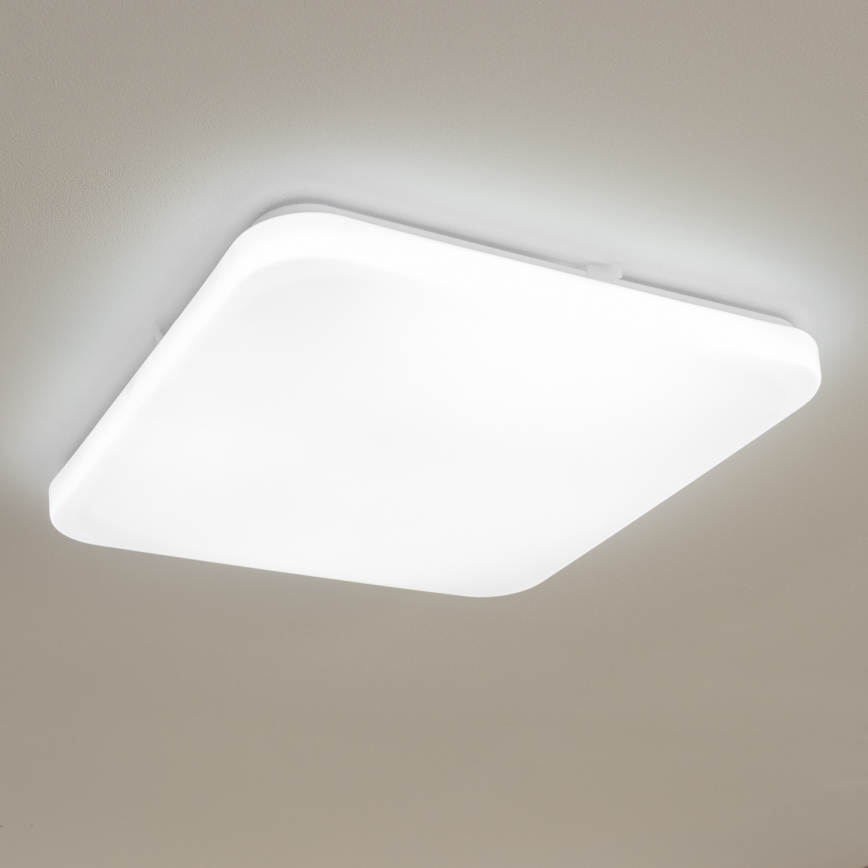 Brilagi - LED lubinis šviestuvas OPAL LED/24W/230V